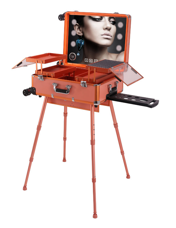 Het professionele Bluetooth-Geval van de Aluminiummake-up met Lichte Grootte 580 * 450 * 220mm Multikleur